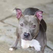 Thumbnail photo of DIAMOND #1