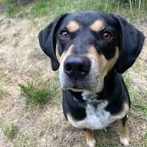 Thumbnail photo of Kobe #1