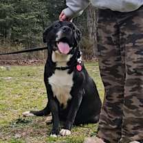 Thumbnail photo of Didi #2