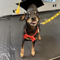 Thumbnail photo of PJ #2