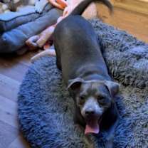Thumbnail photo of Rolo #1