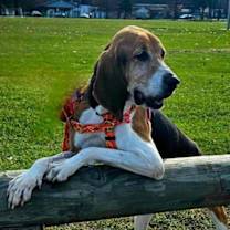 Thumbnail photo of Lucy #1