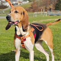Thumbnail photo of Lucy #2