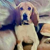 Thumbnail photo of Lucy #4