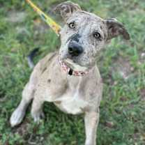 Thumbnail photo of NALA #3