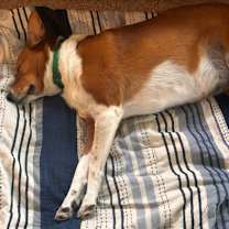 Thumbnail photo of Sammy #2
