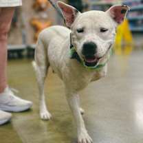 Thumbnail photo of Nell #3