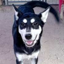 Thumbnail photo of Mila #1