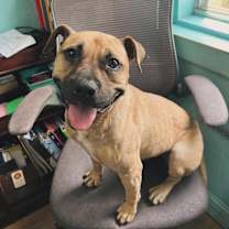 Thumbnail photo of Autumn #2