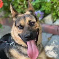 Thumbnail photo of Brody #2