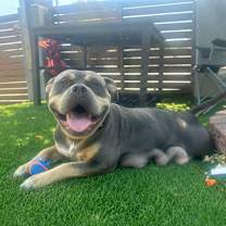 Thumbnail photo of Kali #2