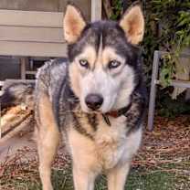 Thumbnail photo of Caitlin #2