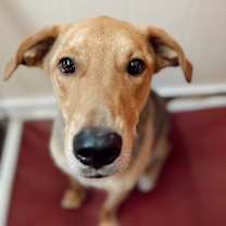 Thumbnail photo of Daario #2