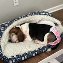 Thumbnail photo of Heidi #2