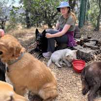 Thumbnail photo of Apollo #3