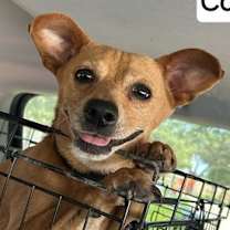 Thumbnail photo of Conner A720096 #2