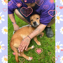 Thumbnail photo of Jules #2