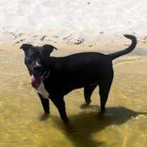 Thumbnail photo of Ali #2