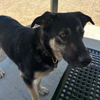 Thumbnail photo of Gary #4