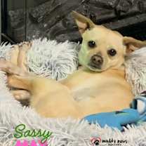 Thumbnail photo of Sassy May #3