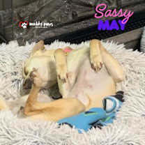 Thumbnail photo of Sassy May #4