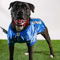 Thumbnail photo of JUNIOR #2