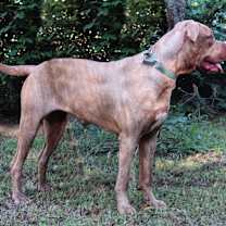 Thumbnail photo of Eden #3