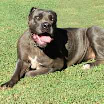 Thumbnail photo of Lyric #1