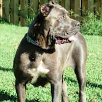 Thumbnail photo of Lyric #2