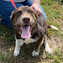 Thumbnail photo of Tiffany #4