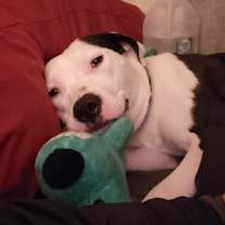 Thumbnail photo of 🤠 “Yeehaw” #4