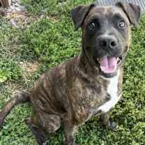 Thumbnail photo of Zach #1