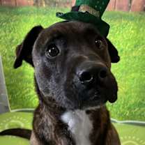 Thumbnail photo of Zach #2