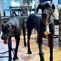 Thumbnail photo of Brooke #2