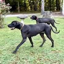 Thumbnail photo of Brooke #3