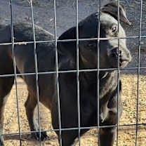 Thumbnail photo of Claire #3