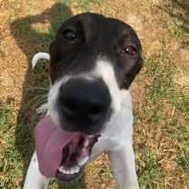 Thumbnail photo of Denzel #3