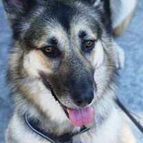 Thumbnail photo of Lucky #4
