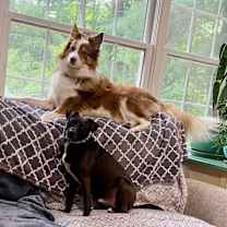 Thumbnail photo of Rio #4