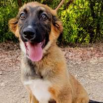 Thumbnail photo of Lia #4