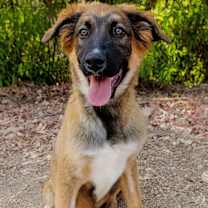 Thumbnail photo of Lia #2