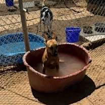 Thumbnail photo of Sophia #2