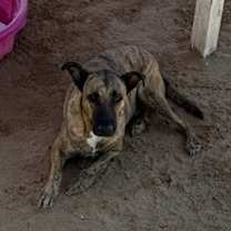 Thumbnail photo of Ralph #2