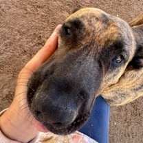 Thumbnail photo of Ralph #3