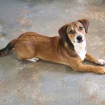 Thumbnail photo of Jimmy #1