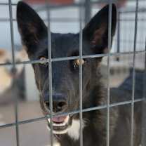 Thumbnail photo of Sabine #4