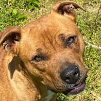 Thumbnail photo of Cassie - so SWEET #1