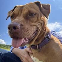 Thumbnail photo of Lola #2