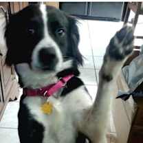 Thumbnail photo of Cher #3