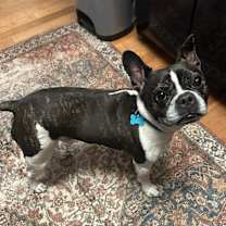 Thumbnail photo of Manny #3